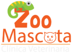 Zoo Mascota